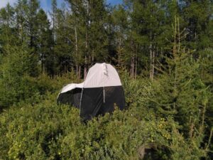 IMG_20220802_173001 - Blue Lake campsite - Malaise trap