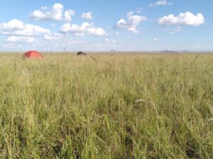 IMG_20220815_170447 - Toson Hulstay camp