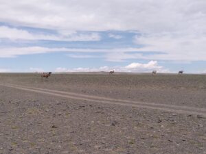 IMG_20230630_124109 - Zavkhan sum - Uvs aimag