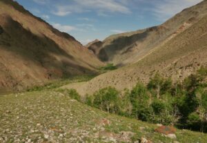 P1120392 - camp Tsetseg (Sutai uul)