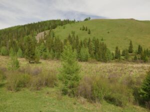 _1120601 - 2024-5-27 bogd khan