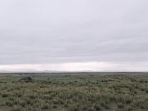 IMG_20240529_081953