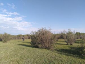 IMG_20240531_063843