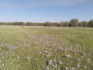 IMG_20240531_075657
