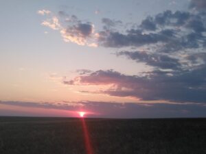 IMG_20240531_195743