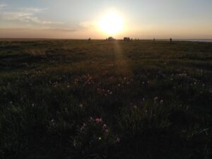 IMG_20240601_192143