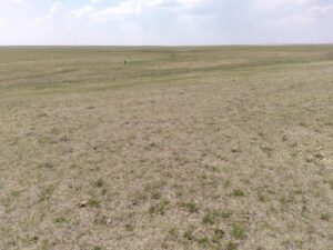 IMG_20240603_134425