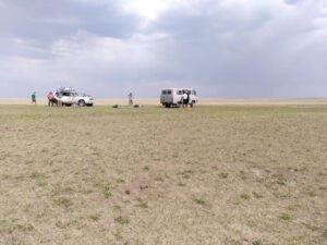 IMG_20240603_134431
