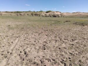 IMG_20240607_160450