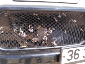 IMG_20240608_140055