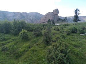 IMG_20240610_175636
