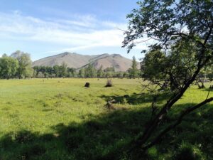 IMG_20240611_092114