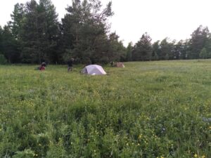 IMG_20240611_202714