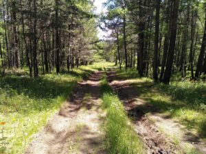 IMG_20240612_120035