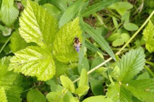 IMG_20240613_111948