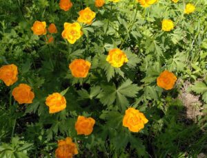 IMG_20240614_095829