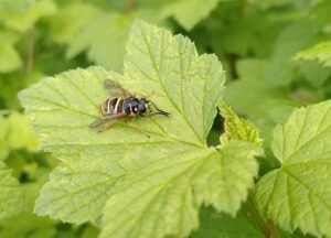 IMG_20240614_103613
